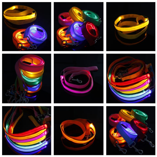 LED Illuminated Safety Dog Leads