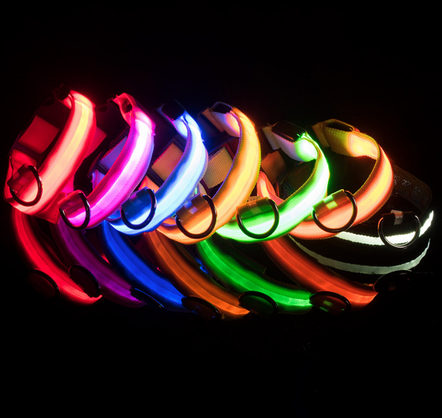 LED Illuminated Safety Dog Collars